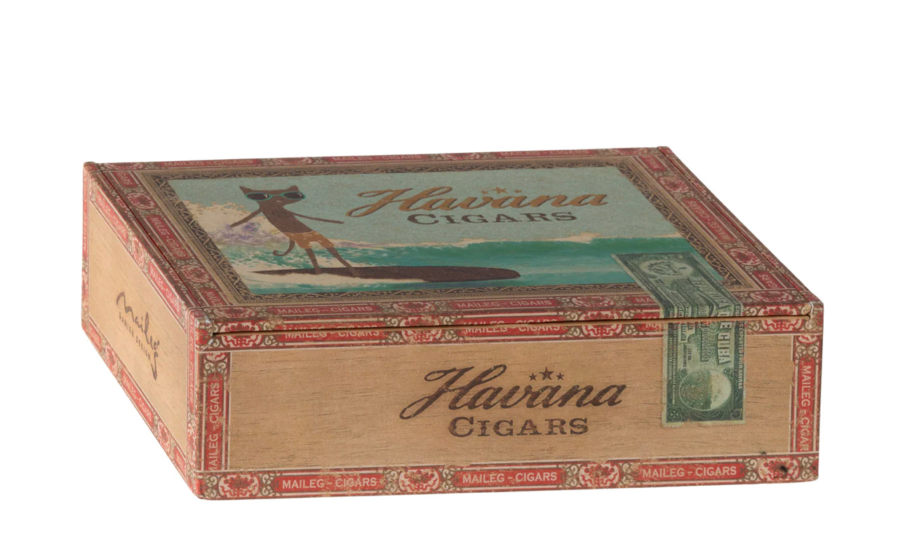 Mice Mum and Dad in Cigarbox